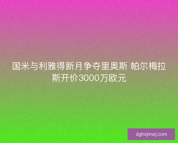 国米与利雅得新月争夺里奥斯 帕尔梅拉斯开价3000万欧元